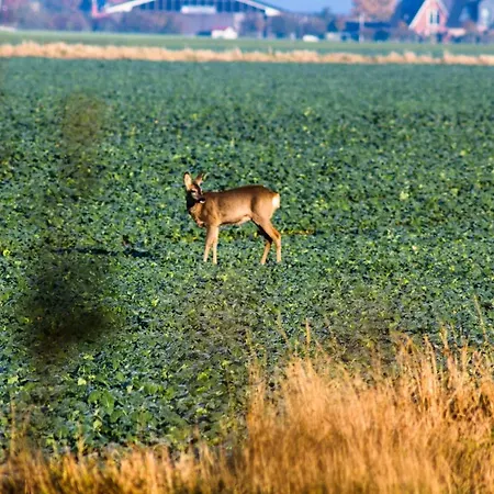 Ferienwohnungen-neue-tiefe-wohnung-kleiderbuegel